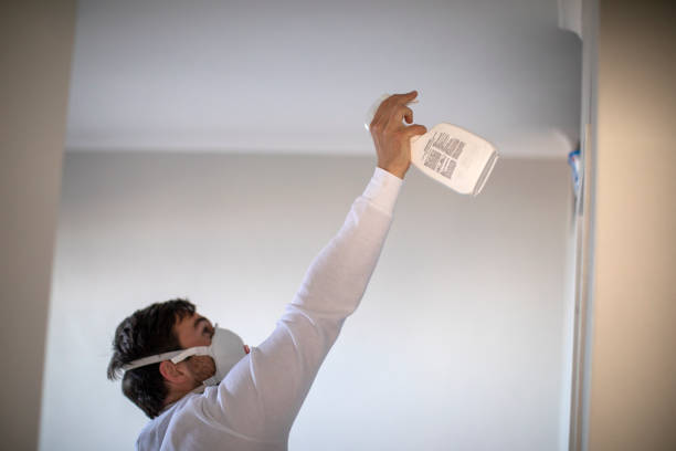 Best Emergency Mold Remediation in Washingtonville, NY