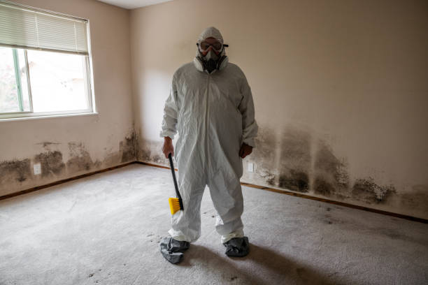 Best Mold Remediation for Specific Building Types in Washingtonville, NY